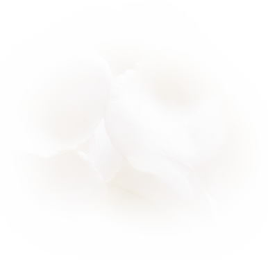 フラワーイメージ